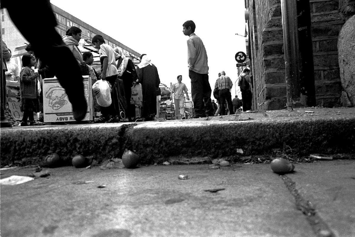 Johannes Burr - KROTTFORSCHUNGEN